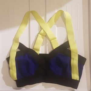 Aritzia Sports Bra